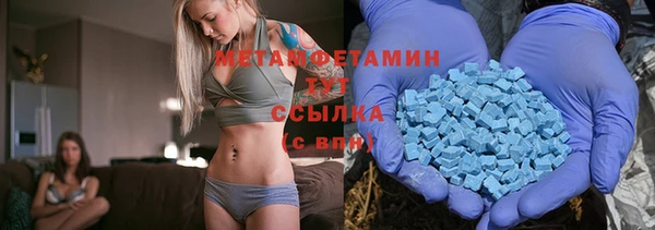 индика Краснослободск
