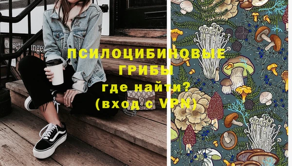 индика Краснослободск