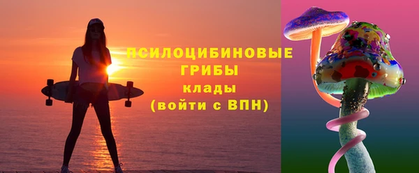 соль ск Костерёво