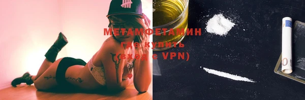индика Краснослободск