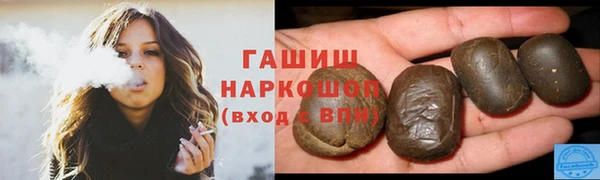 индика Краснослободск