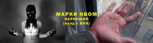 индика Краснослободск