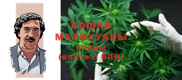 соль ск Костерёво