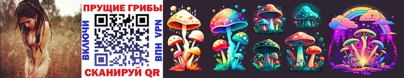 Галлюциногенные грибы Psilocybine cubensis  Купить  Петухово 